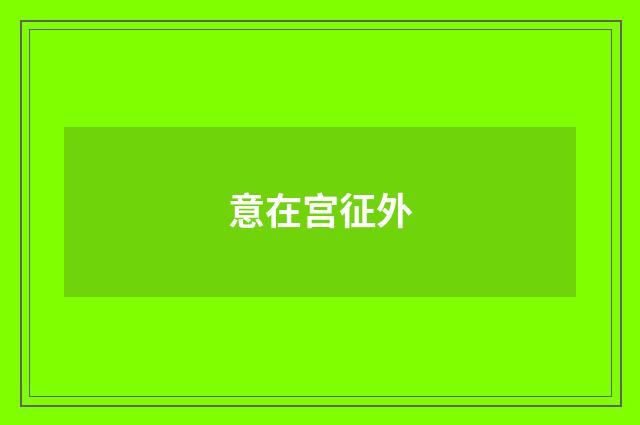 意在宫征外