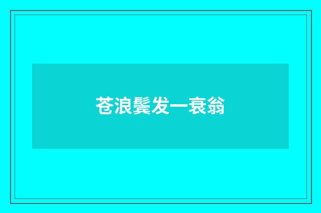 苍浪鬓发一衰翁
