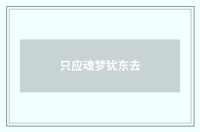 只应魂梦犹东去