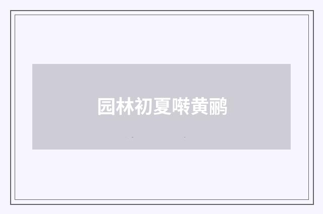 园林初夏啭黄鹂