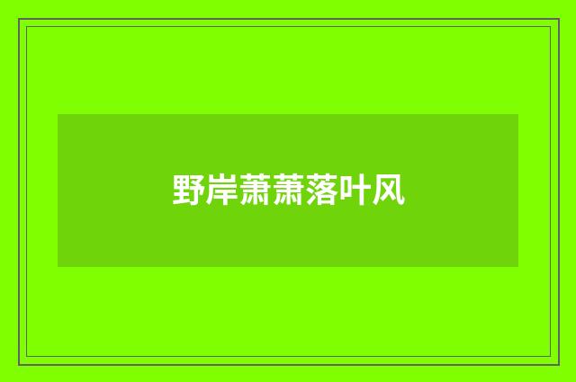 野岸萧萧落叶风