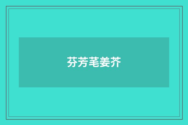 芬芳芼姜芥