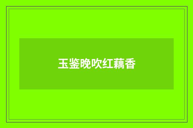 玉鉴晚吹红藕香