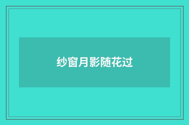 纱窗月影随花过
