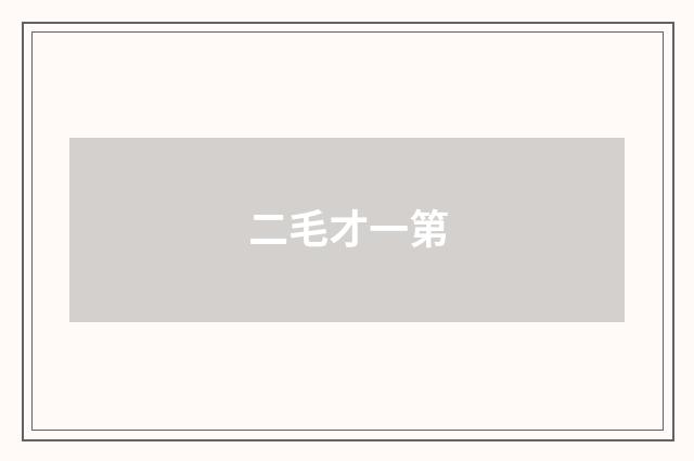 二毛才一第