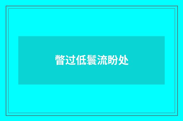 瞥过低鬟流盼处