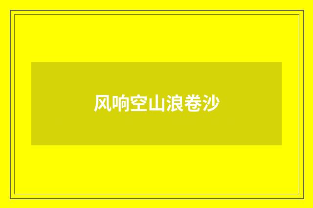 风响空山浪卷沙