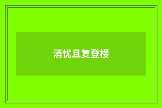 消忧且复登楼