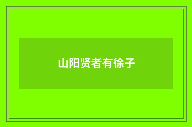 山阳贤者有徐子