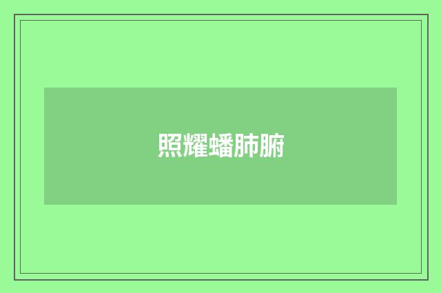 照耀蟠肺腑