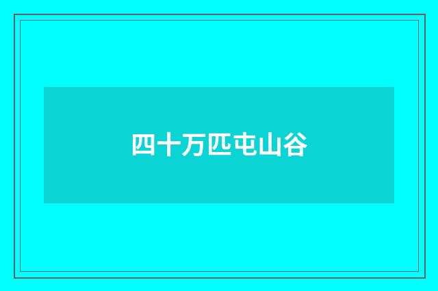 四十万匹屯山谷