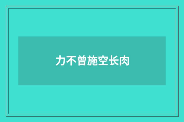 力不曾施空长肉
