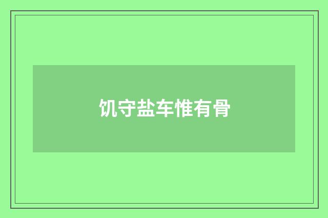 饥守盐车惟有骨