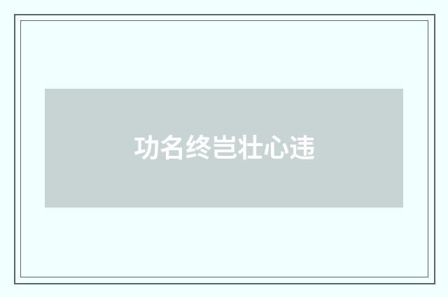 功名终岂壮心违