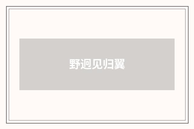 野迥见归翼