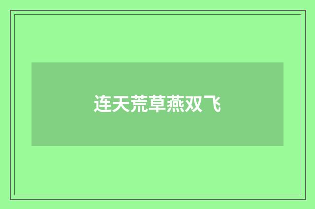 连天荒草燕双飞