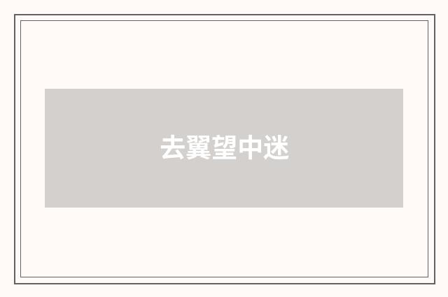 去翼望中迷