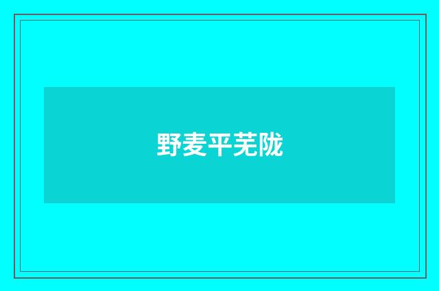 野麦平芜陇
