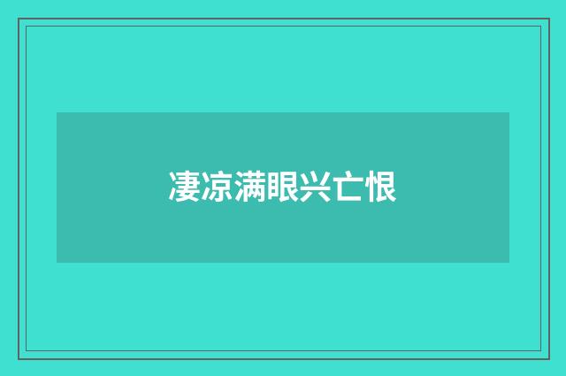 凄凉满眼兴亡恨