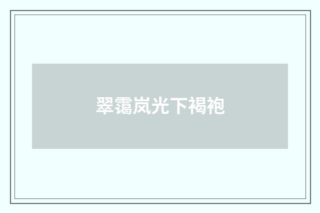 翠霭岚光下褐袍