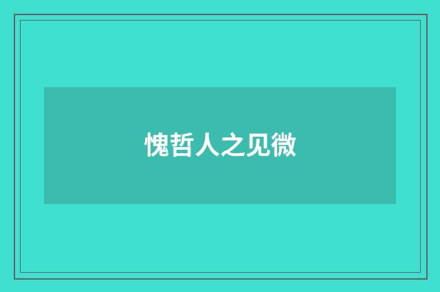 愧哲人之见微