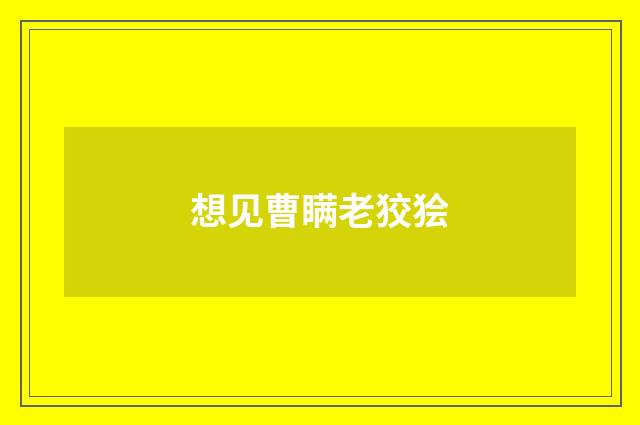 想见曹瞒老狡狯