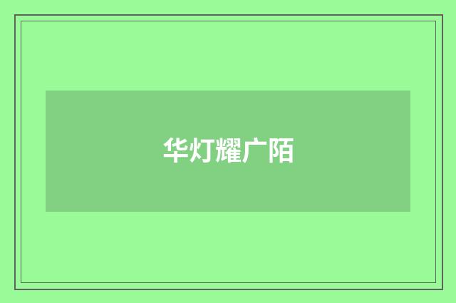 华灯耀广陌