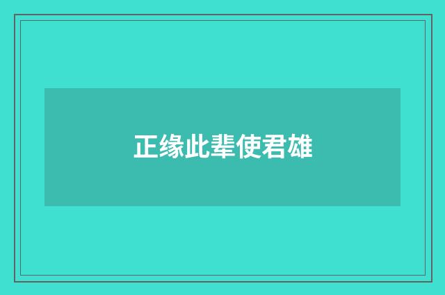 正缘此辈使君雄