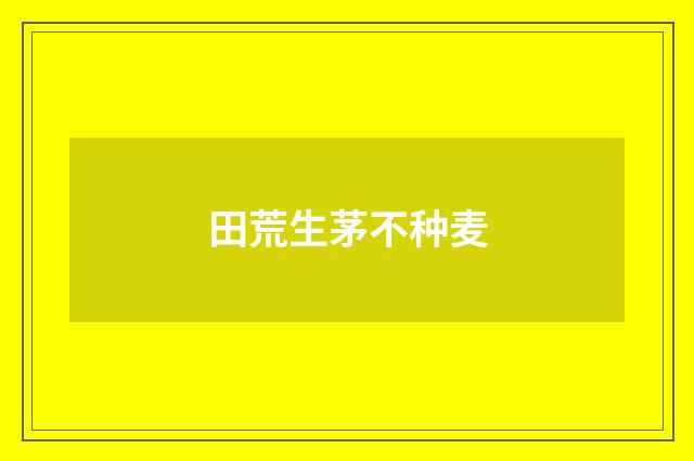 田荒生茅不种麦