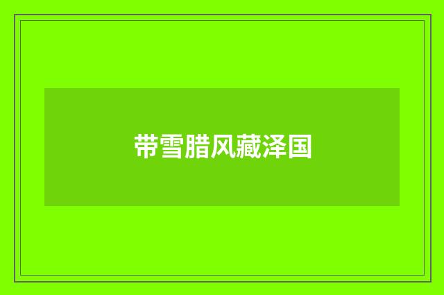 带雪腊风藏泽国