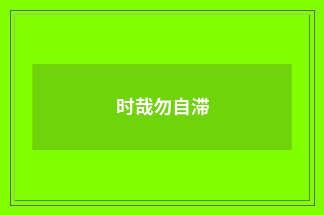 时哉勿自滞