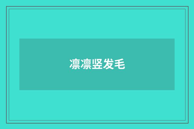 凛凛竖发毛