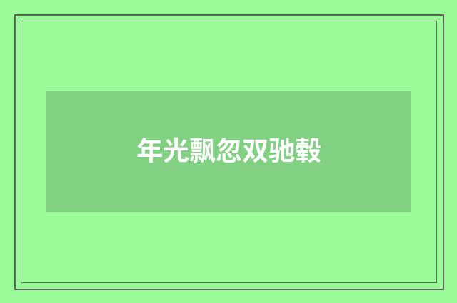 年光飘忽双驰毂