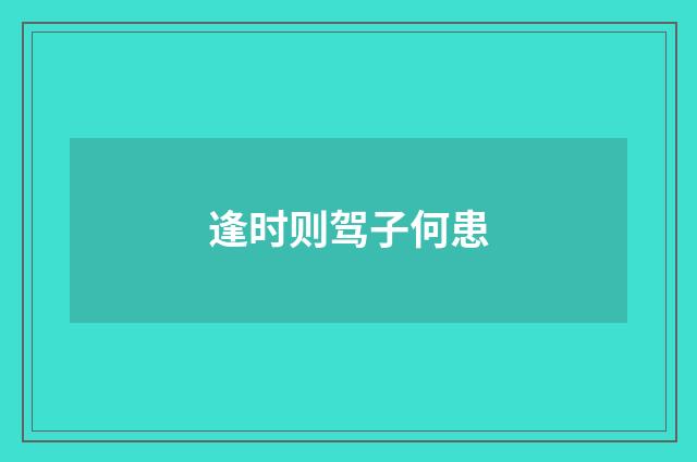 逢时则驾子何患
