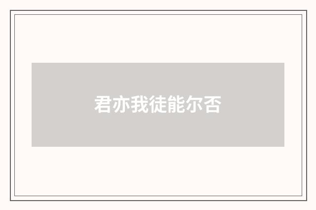 君亦我徒能尔否