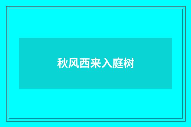 秋风西来入庭树