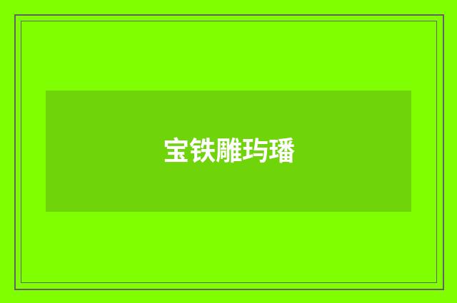 宝铁雕玙璠