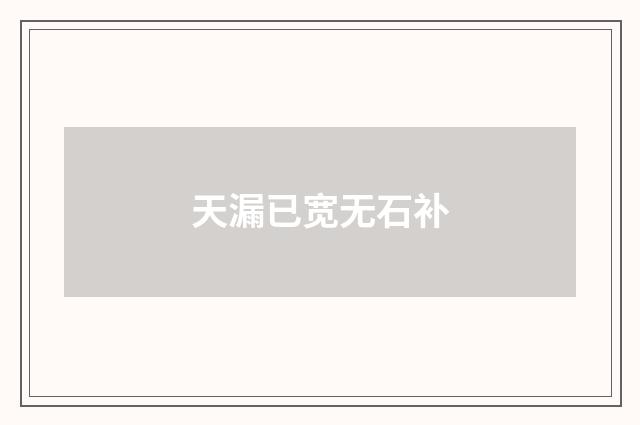 天漏已宽无石补