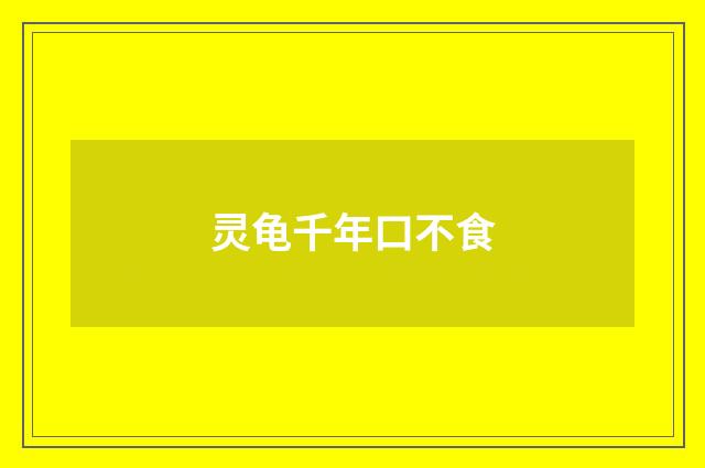 灵龟千年口不食