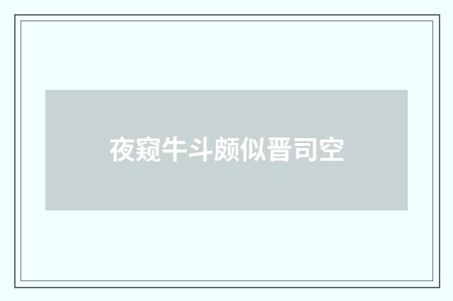 夜窥牛斗颇似晋司空