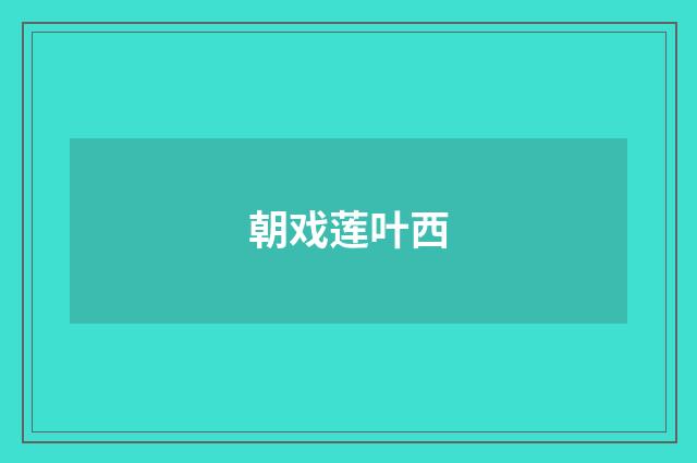 朝戏莲叶西