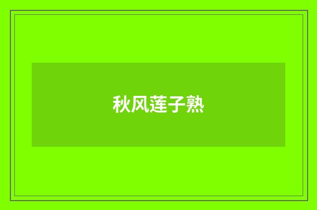 秋风莲子熟