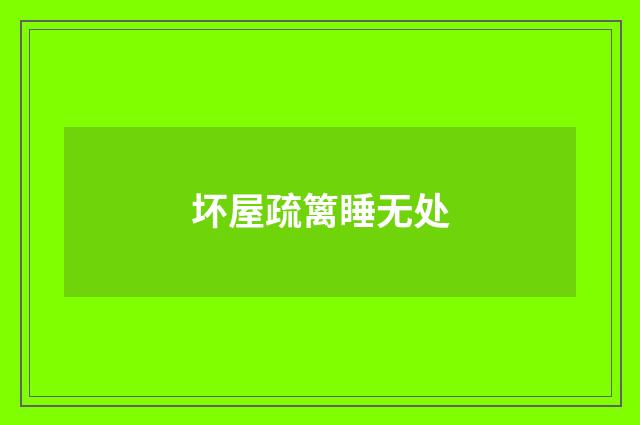 坏屋疏篱睡无处