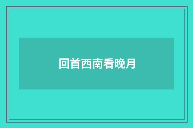 回首西南看晚月