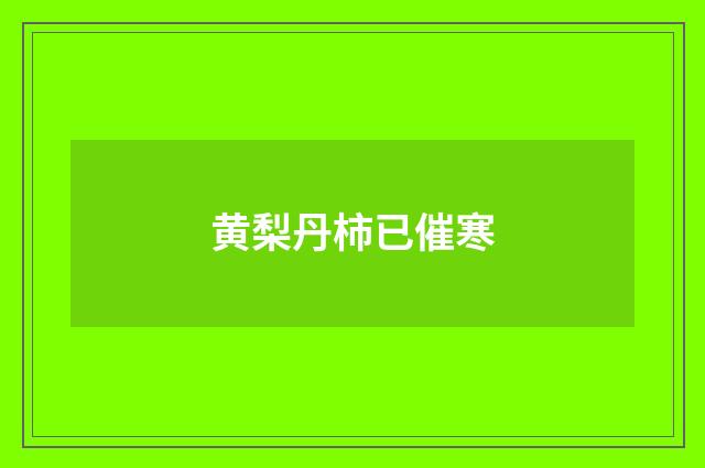 黄梨丹柿已催寒
