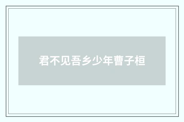 君不见吾乡少年曹子桓