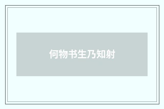 何物书生乃知射