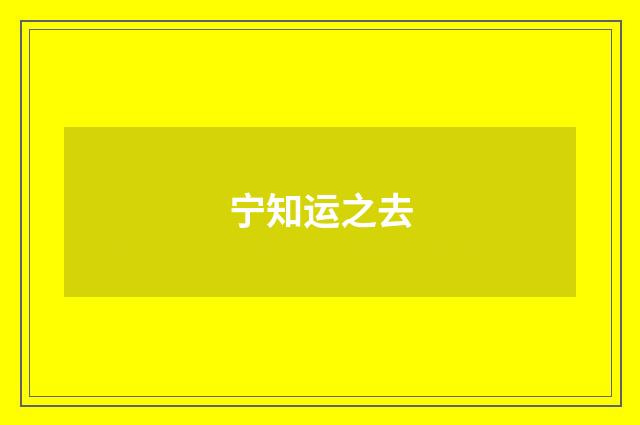 宁知运之去