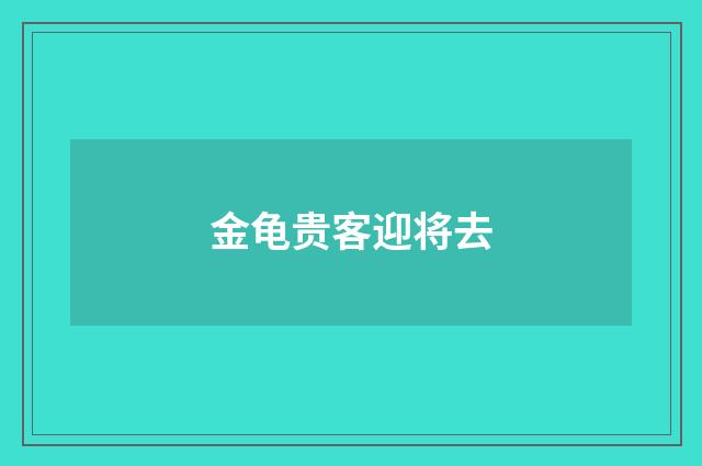 金龟贵客迎将去