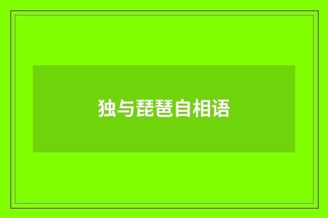 独与琵琶自相语